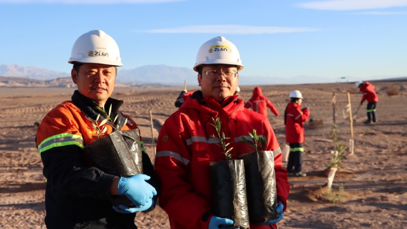 Liex Launches Phase II Tree-Planting Project in the Puna Dessert