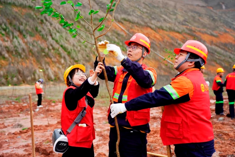 Young Zijin Employees Plant Trees at Mine Site to Promote Sustainability