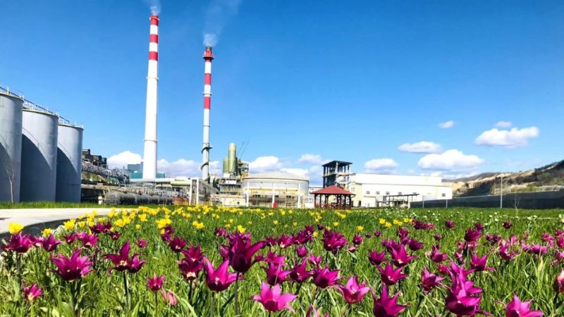 Serbia Zijin Copper Transforms Old Smelter into 'Garden-Like Plant'