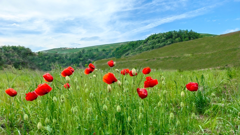2500 Days of Transformation: Zijin Resolves Water Pollution in Serbian Mining Town