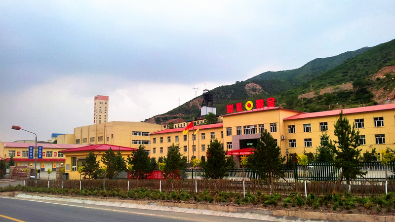 Chongli Zijin Mining Co., Ltd 