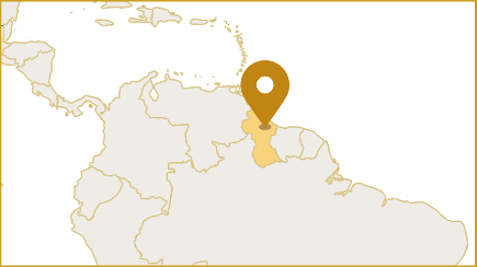 Aurora Gold Mine