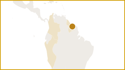 Rosebel Gold Mine