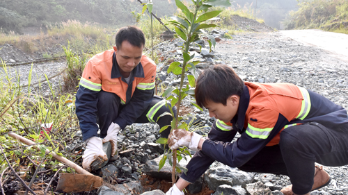Zijin Mining Takes An Active Part in Tree Planting And Landscaping during The National Arbor Week