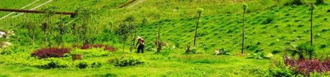 Maintain 100% restoration rate for restorable land