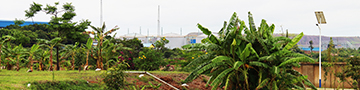 All mines to develop and implement biodiversity action plans by 2030