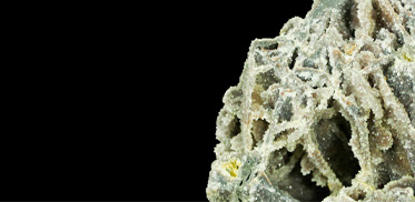 Zinc (Zn) and Lead (Pb)