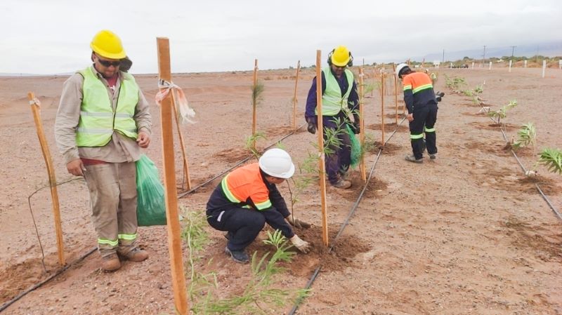 Liex: Transforming the Desert into an Oasis