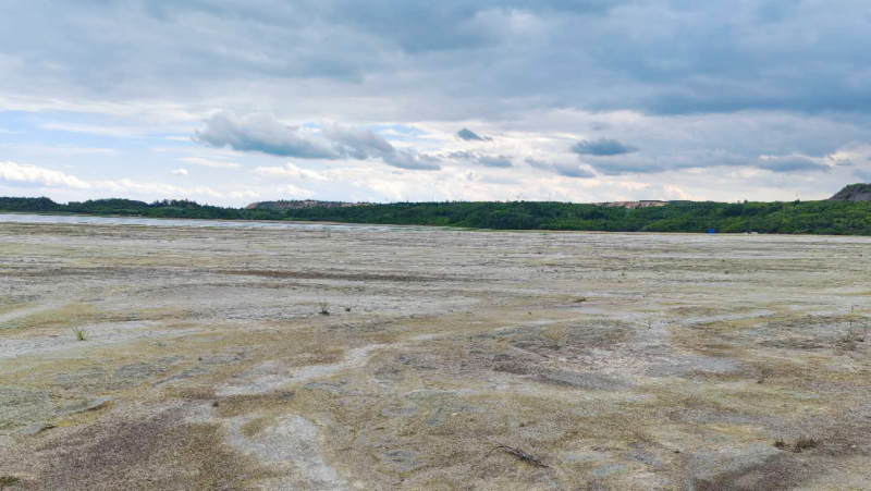 Serbia Zijin Copper Advances Green Mining with Large-scale Tailings Dam Revegetation Program